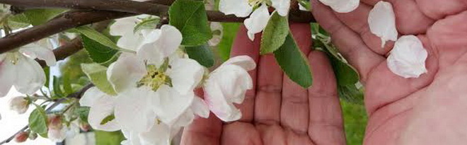 vestule draugam2 660x205